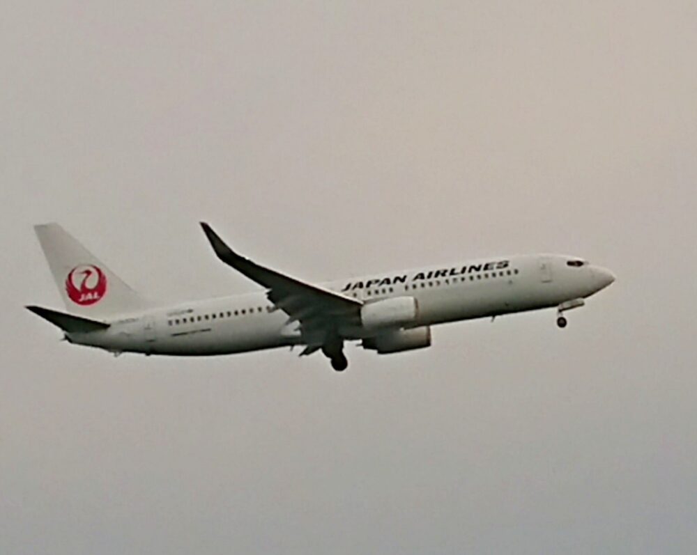 JALの飛行機の飛んでいる写真