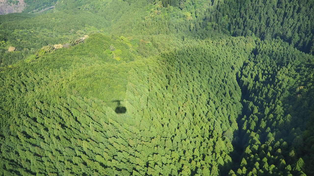 山肌にロープウェイの影が映っている写真