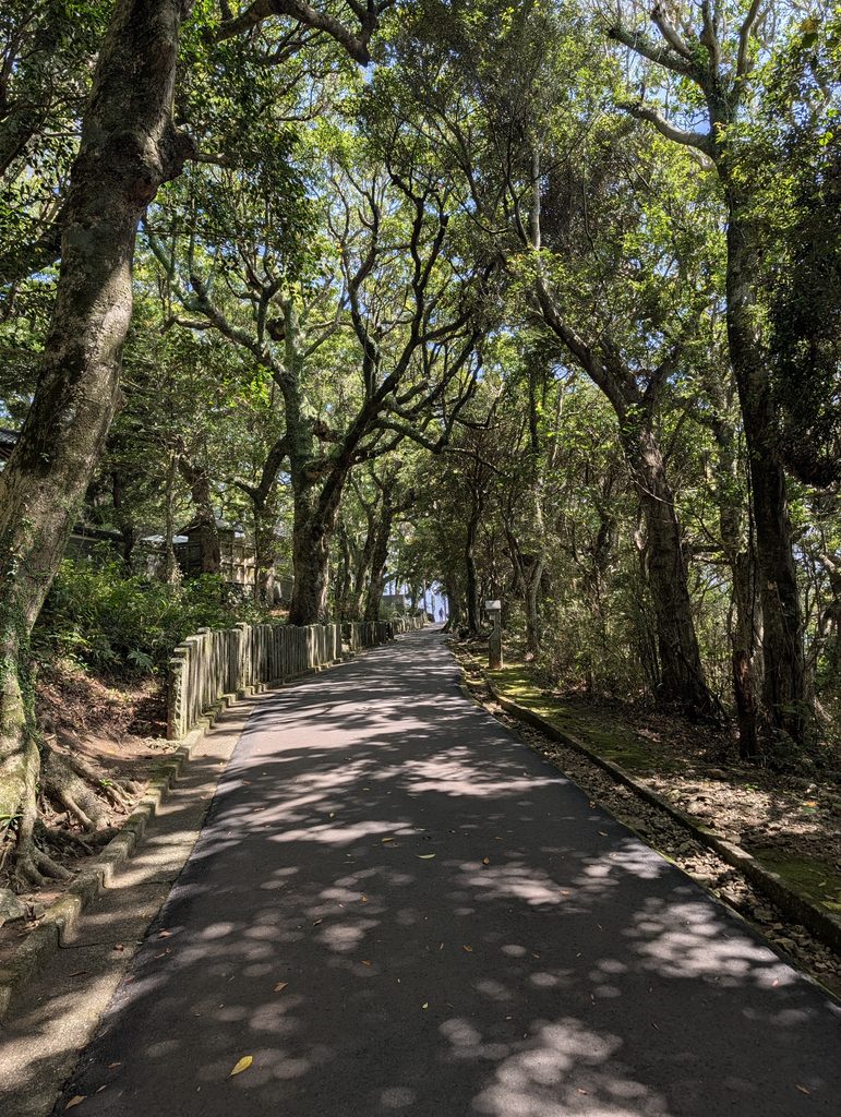 境内までの参道の写真